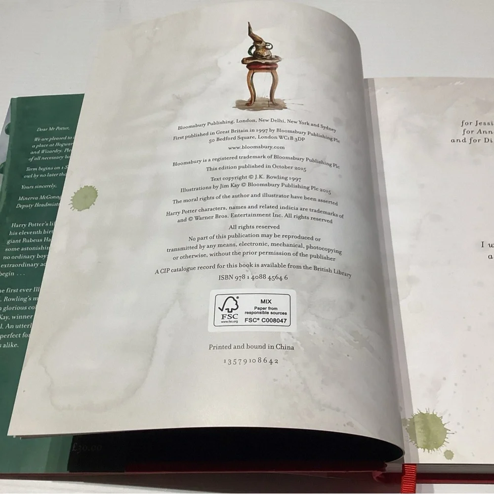Harry Potter and the Philosopher's Stone: Illustrated Edition 1st Edition - Picture 2 of 13